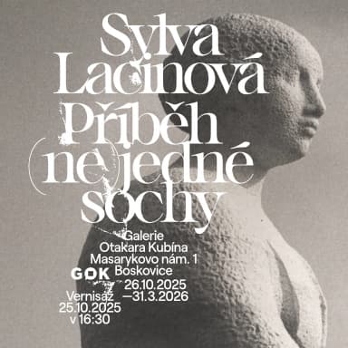 Výstava Sylvy Lacinové